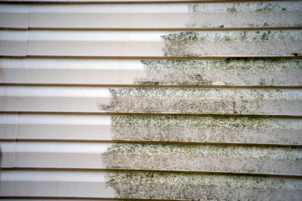 Best Fascia and Soffit Installation  in Flemington, NJ