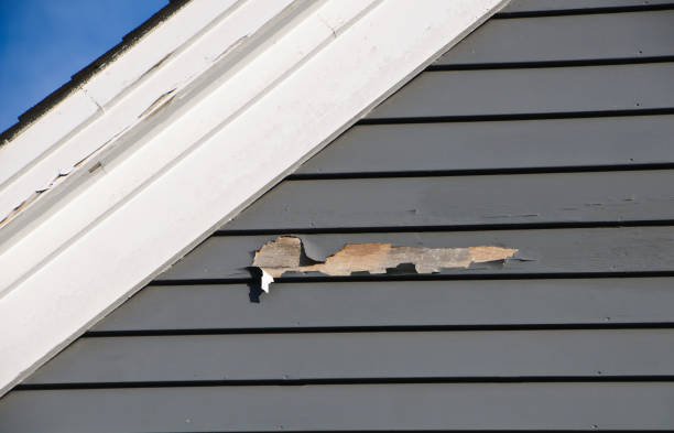Best Composite Siding  in Flemington, NJ